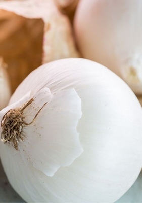 专车配送 附近工厂食材送菜网，家禽直供新鲜到家